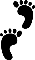 footprints-hi